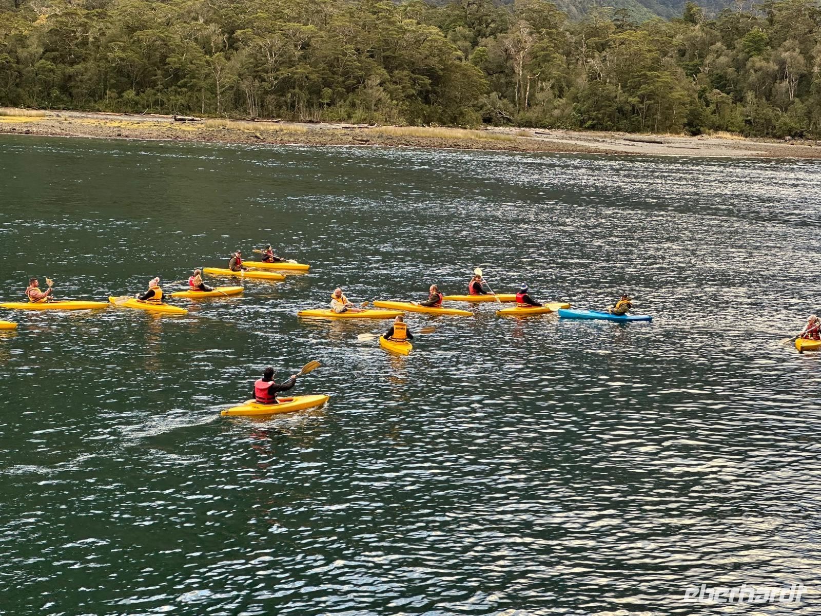 Kayakfahren im Milford Sound