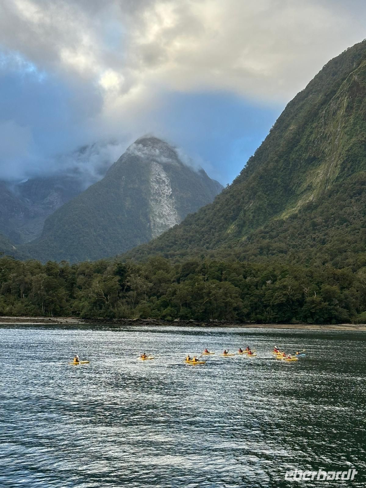 Kayakfahren im Milford Sound