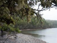 Kepler Track