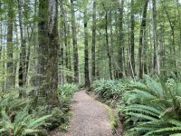 Kepler Track