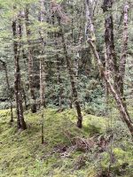 Kepler Track