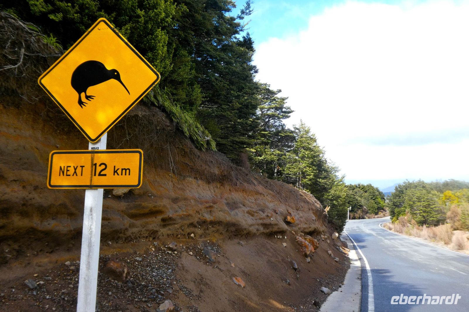 Kiwi-Alarm