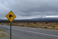 Kiwi-Schild im Tongariro National Park