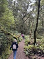 Klepper Track 
