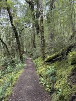 Klepper Track 