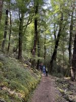 Klepper Track 