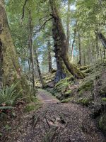 Klepper Track 