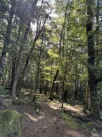 Klepper Track