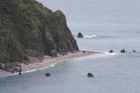 Knights Point