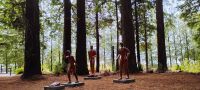 Kunst im Sequoiawald