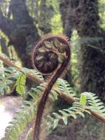Kurze Wanderung