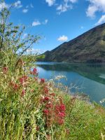 Lake Benmore