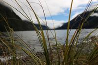 Lake Gunn 