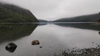 Lake Gunn Nature Walk