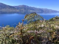 Lake Hawea (2)