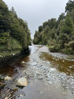 Lake Matheson 