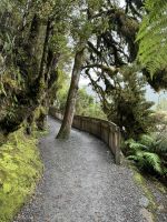 Lake Matheson 