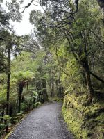 Lake Matheson 