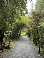 Lake Matheson 
