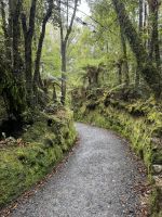 Lake Matheson 
