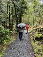 Lake Matheson 