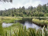 Lake Matheson 