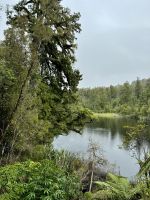 Lake Matheson 