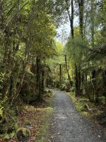 Lake Matheson 