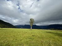 Lake Matheson 