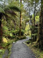 Lake Matheson