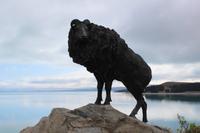 Lake Pukaki - Tha