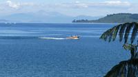 Lake Taupo mit Mount Ngauruhoe 