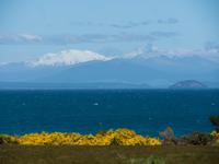 Lake Taupo
