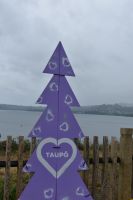 Lake Taupo