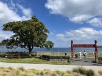 Lake Taupo