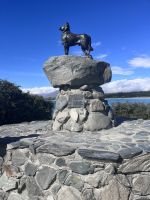Lake Tekapo (15)