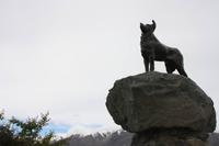 Lake Tekapo