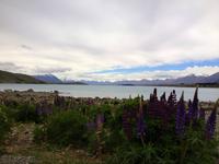 Lake Tekapo