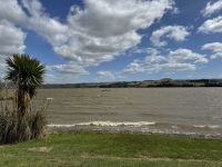 Lake Waihola 
