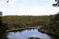 Lake Wilkie