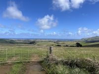 Landschaft im Northland