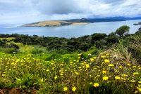 Landschaft in der Nähe des Hokianga Harbour