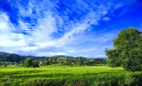 Landschaft in der Nordregion Neuseelands