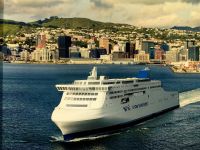 Letzter Blick auf den Hafen von Wellington, wir verlassen den Norden