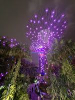 Lichtershow an den Gardens by the Bay, Singapur