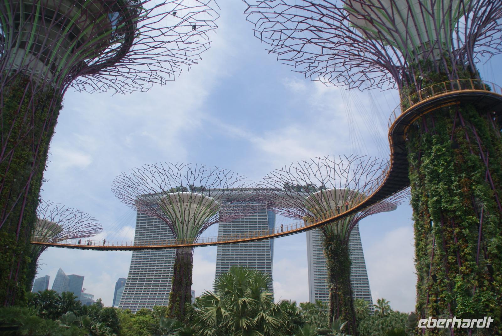 MBS (5)
