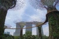 MBS (5)