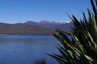 Manapouri