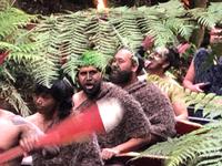 Maori Abend Neuseeland 