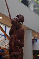 Maori Stature